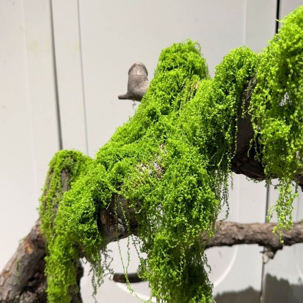 Terrarium Moss Art - 폴리에스터 인조 이끼 식물 DIY 공예품