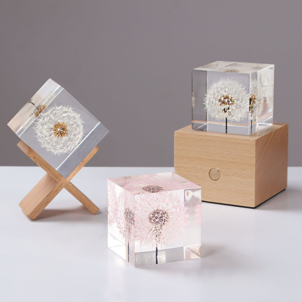 민들레 보존 신선한 꽃과 말린 꽃 표본 장식, DIY  - Flower Preservation Resin 리뷰 및 가격