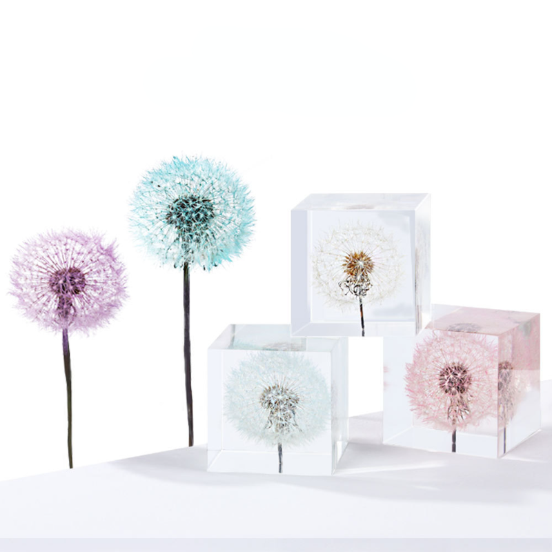 민들레 보존 신선한 꽃과 말린 꽃 표본 장식, DIY  - Flower Preservation Resin 리뷰 및 가격