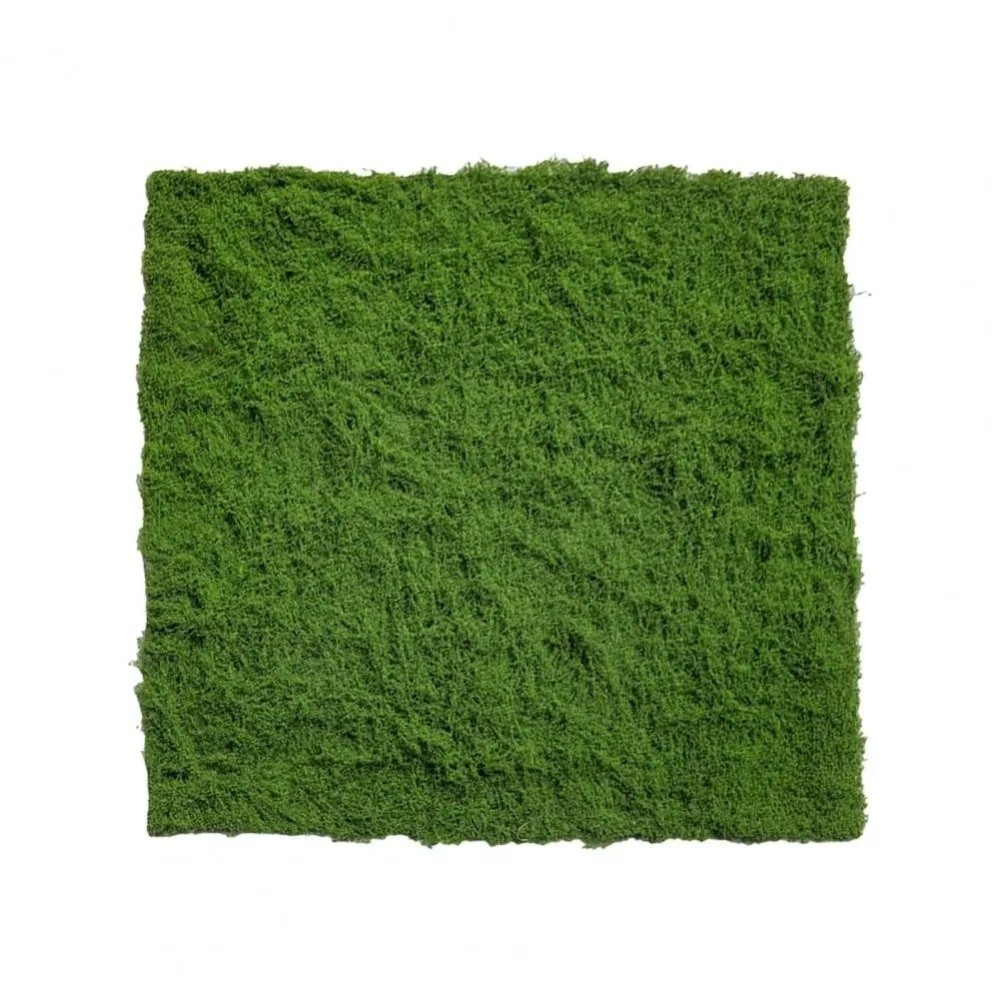 DIY 인조 잔디 러그 내구성 무수경 가짜 이끼 잔디  - Terrarium Moss Art 리뷰 및 가격