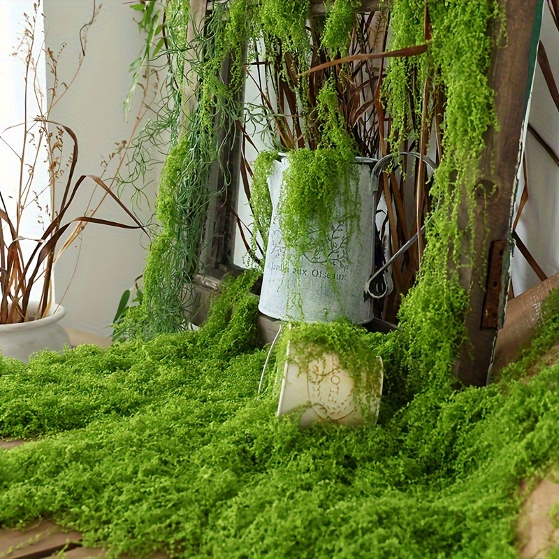 인공 가짜 이끼, 1.05 OZ DIY 시뮬레이션 이끼 - Terrarium Moss Art 리뷰 및 가격