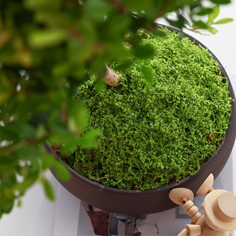 인공 가짜 이끼, 1.05 OZ DIY 시뮬레이션 이끼 - Terrarium Moss Art 리뷰 및 가격